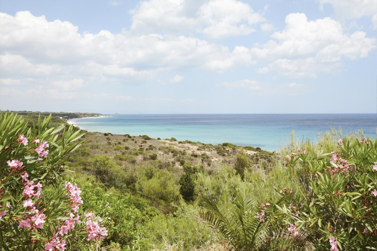 Pinus Village Sea Front Apartment Pula Dış mekan fotoğraf